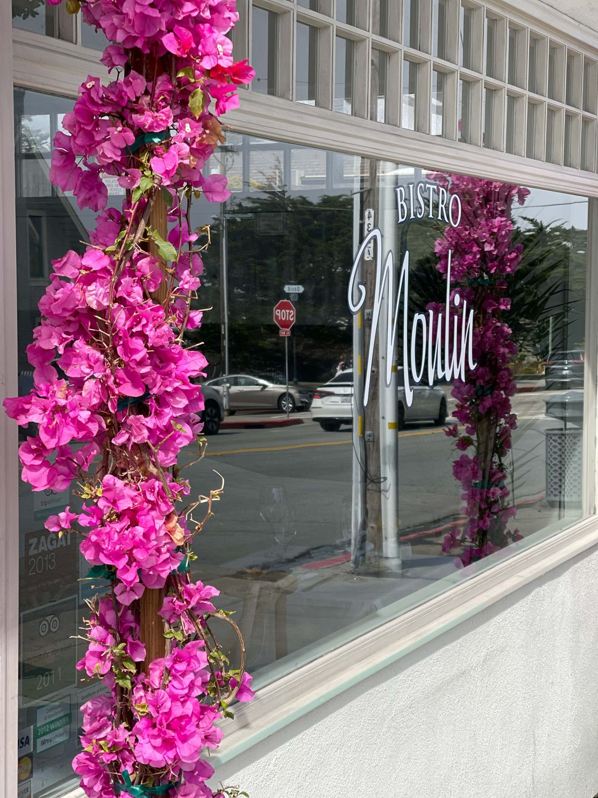 Bougainvillea at the front window